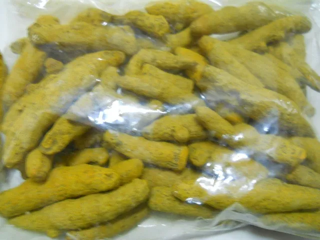 Turmeric 086.jpg