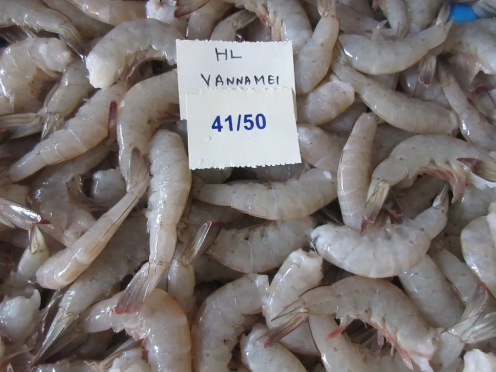 VANNAMEI SHRIMPS HEAD ON SHELL ON FARM FRESH, View Vannamei, COASTAL
