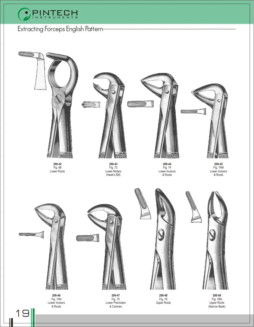 Dental Extraction Forceps English Pattern 20034 Buy Dental Extraction