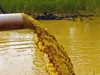 Unique Microbial formulation for odour control in waste water treatment
