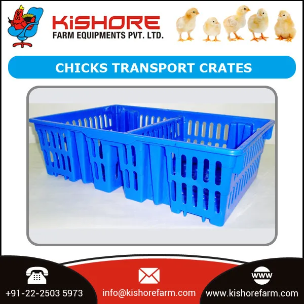Chicks Transport Crates / Poultry Crates Price Buy Poultry Crates