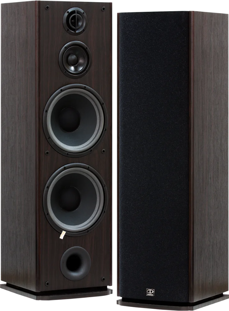 karaoke floor speakers