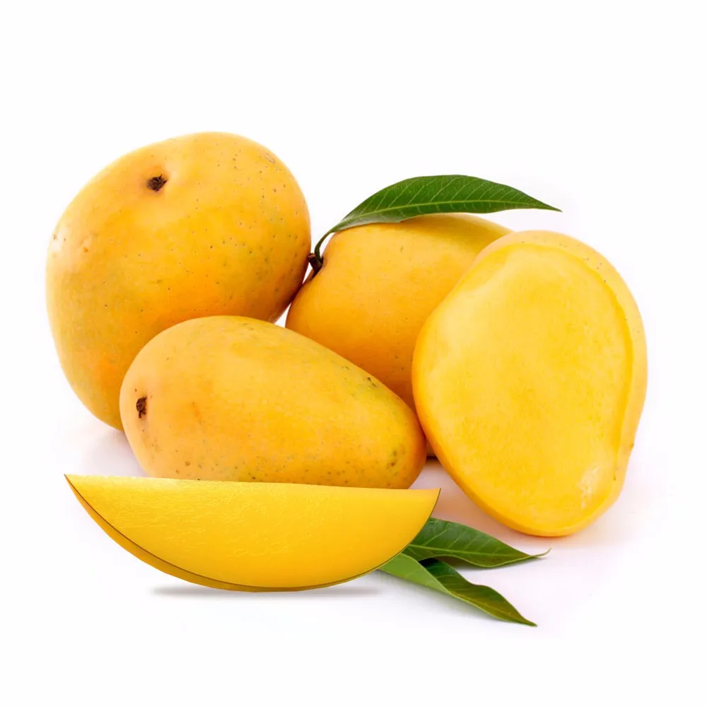 Fresh Kesar Green Mango Fruits - Buy Mango,Bulk Fresh Kesar Mangos