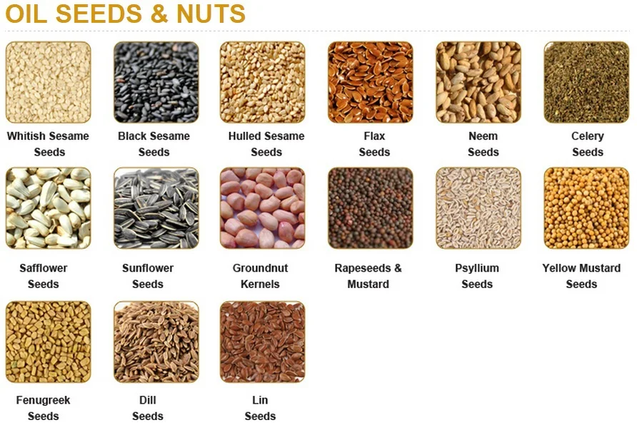 Hulled Sesame Seeds Oil Seeds & Nuts - Rosun Natural Products Pvt Ltd ...