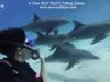 PADI Diving Course
