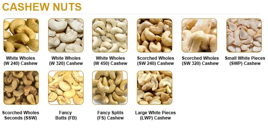 price of cashew nuts in international market