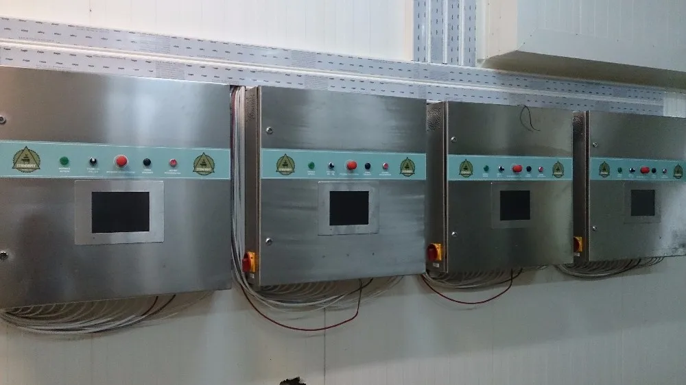 Automatic 1000 Kg Capacity Hot And Cold Fish Smoking Chamber Buy Fish