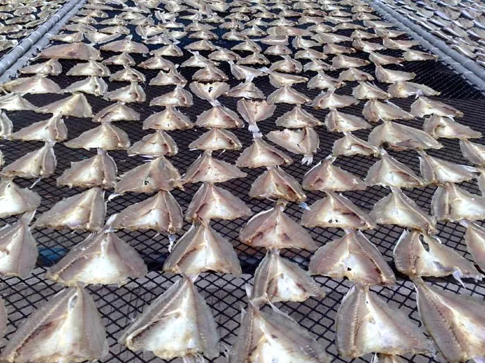 Large Capacity smoked meat drying machine /smoked fish dryer with trays