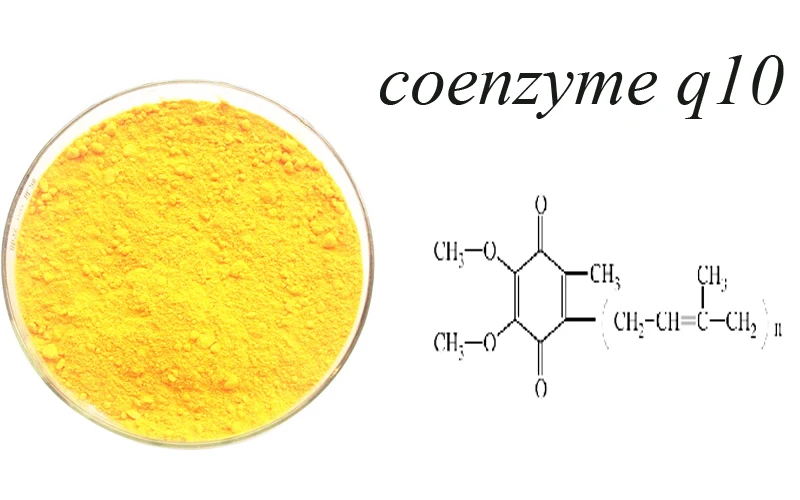 what is coenzyme q10?