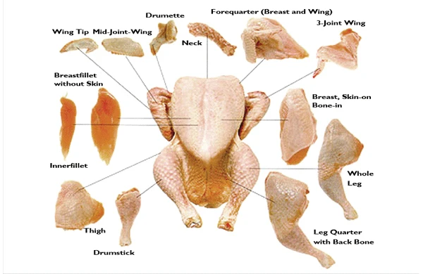 Chicken Partswingpawchicken Buy Chicken Partschicken Pawschicken Paws Product On Alibabacom