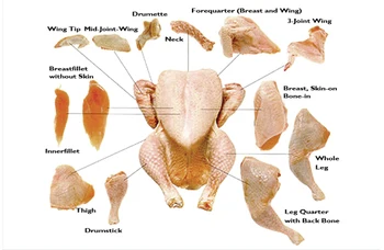 Chicken Parts/wing/paw/chicken - Buy Chicken Parts,Chicken Paws,Chicken