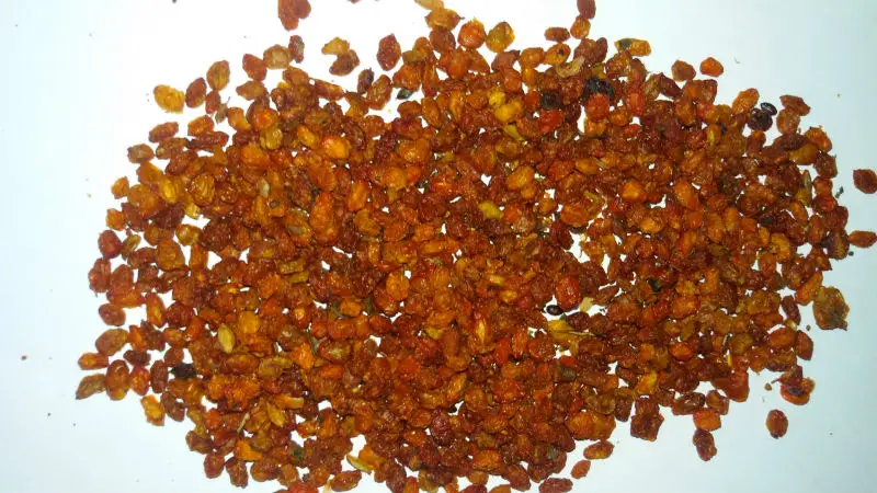 Сушка облепихи в электросушилке. Сушка плодов облепихи. Облепиха ягода сушеная. Как высушить облепиху. Облепиха засушенная.