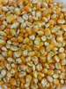 corn for export