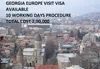 /product-detail/europe-georgia-visa-50024543322.html