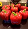 FRESH CAPSICUMS / BELL PEPPER from viet nam