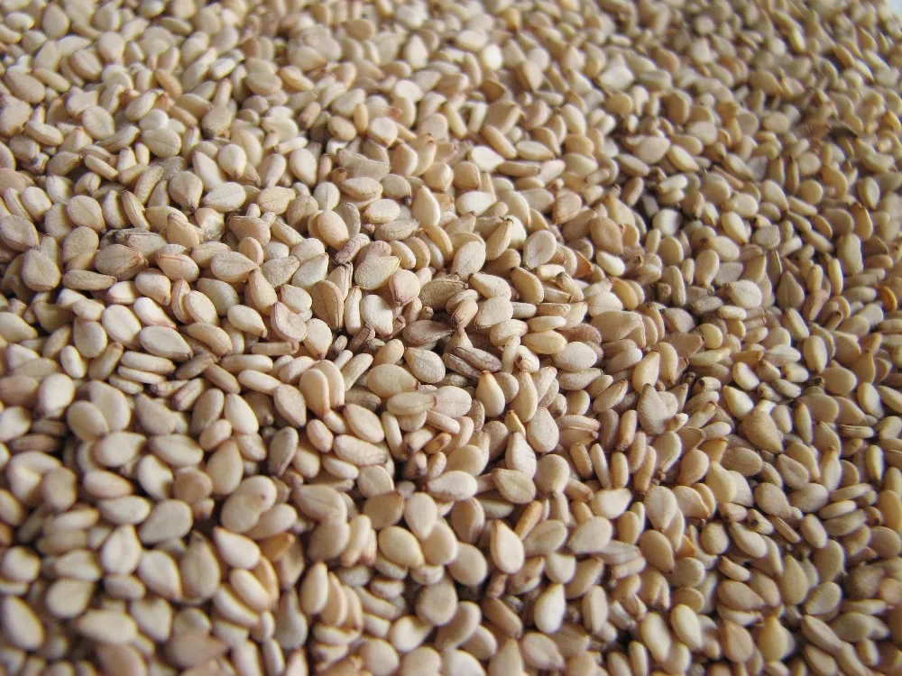 Sesame Seed 99/2/2 (natural) Buy Sesame Seed,Sesame Seed Price,Fob