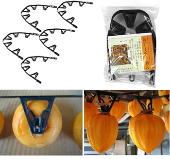 Japanese Kaki Persimmon Fruit Drying Clip Made In Japan Buy Kaki Product On Alibabacom - 