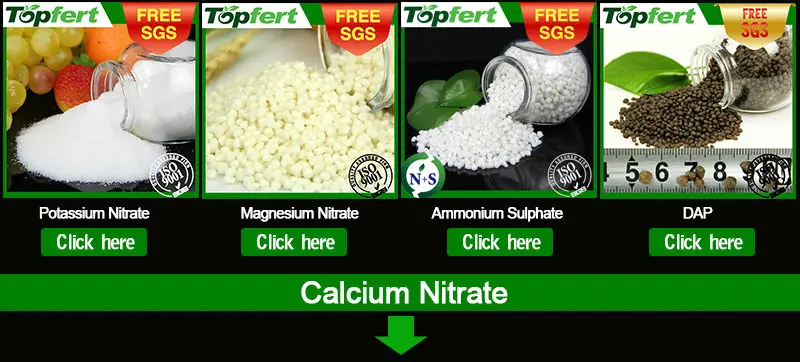 Calcium Nitrate