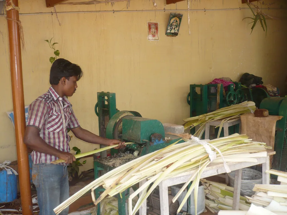 Nanas Alami Serat Untuk Seni Dan Kerajinan Cocok Untuk 