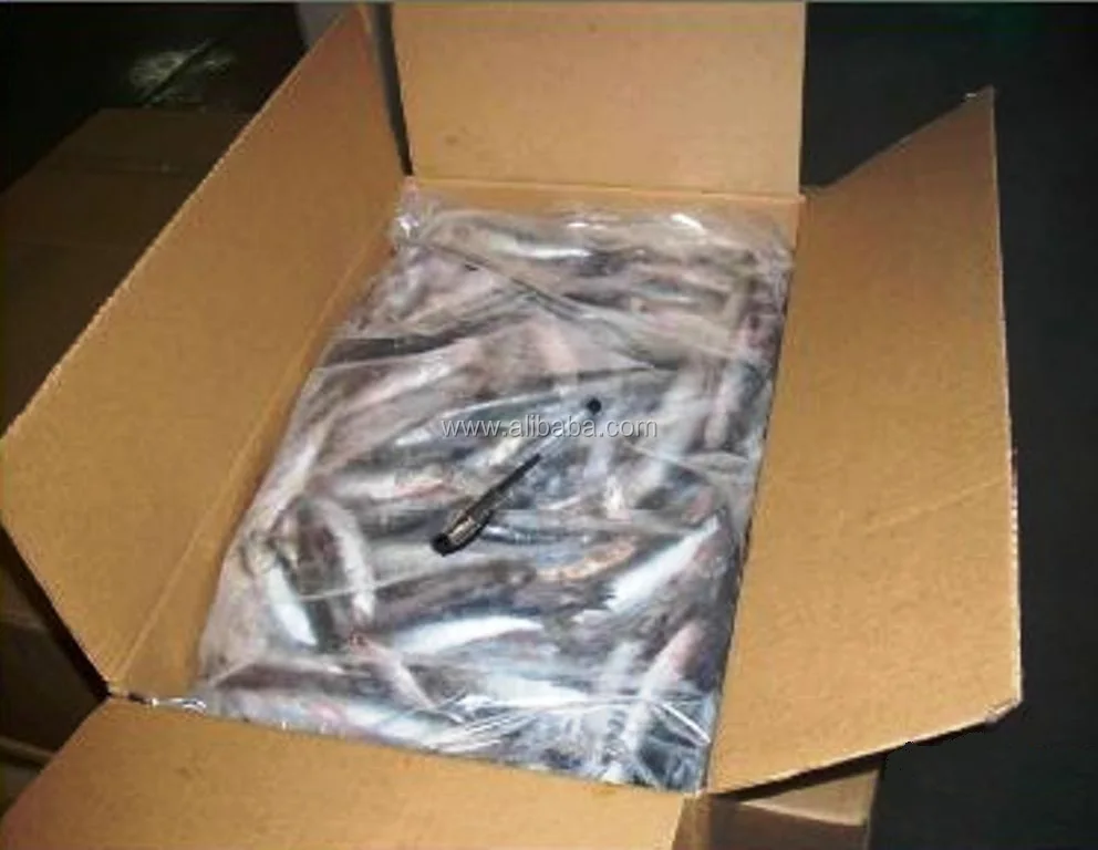 Anchovy Buy Frozen Anchovies Product on
