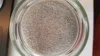 Perlite ,Expanded or Ore, Foundry, Agricultural, Textile, Landscaping Grades