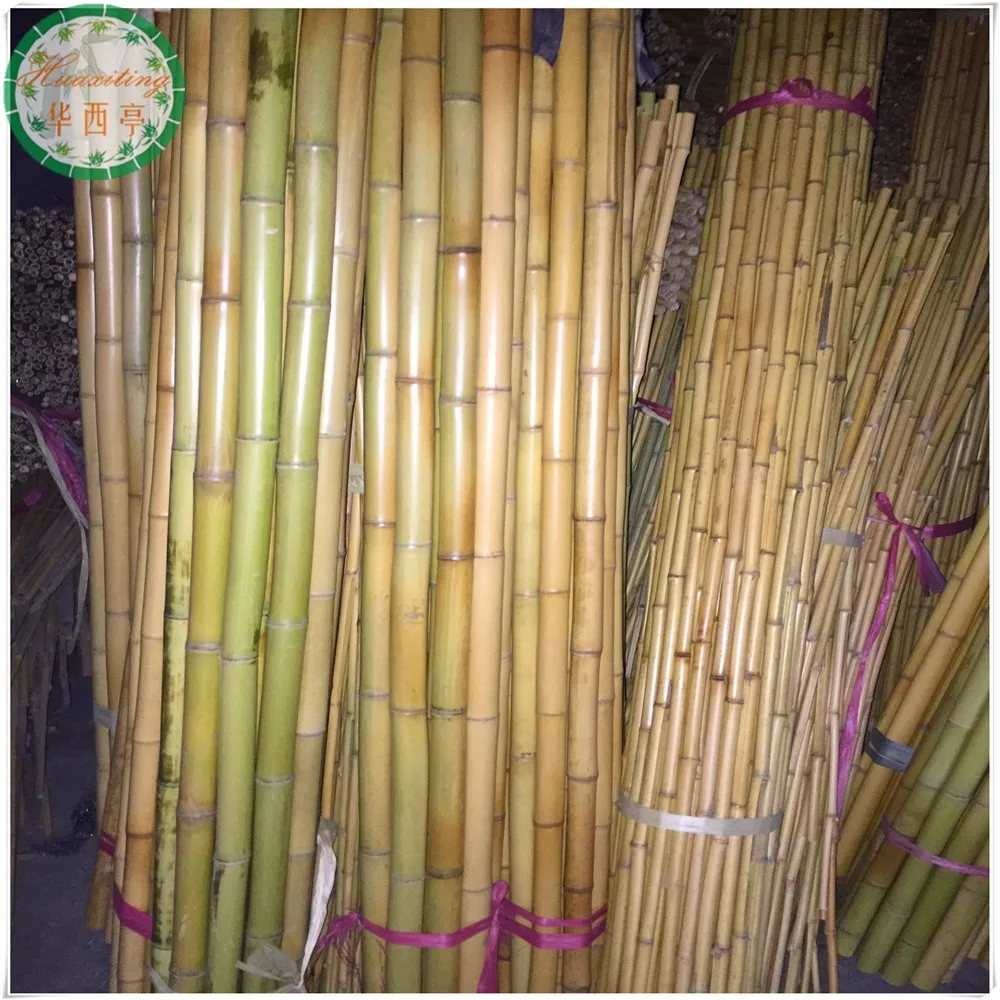 Large Dry Raw Moso Bamboo Poles For Sale 20mm40mm Buy Raw Bamboo