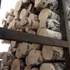 Cheap White Latvian birch logs