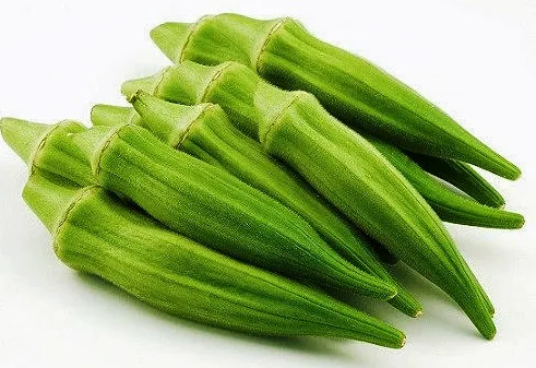 best quality fresh lady finger okra