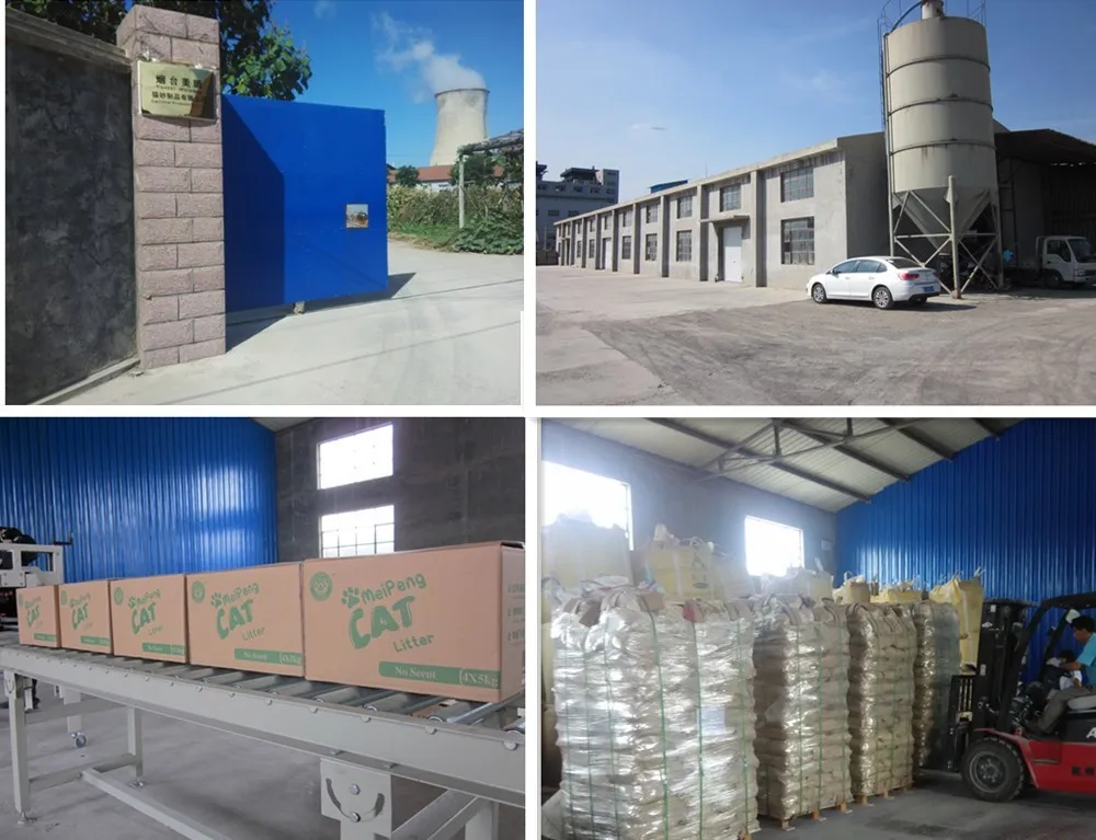 Porno bilmas edi eshak ogriyapti