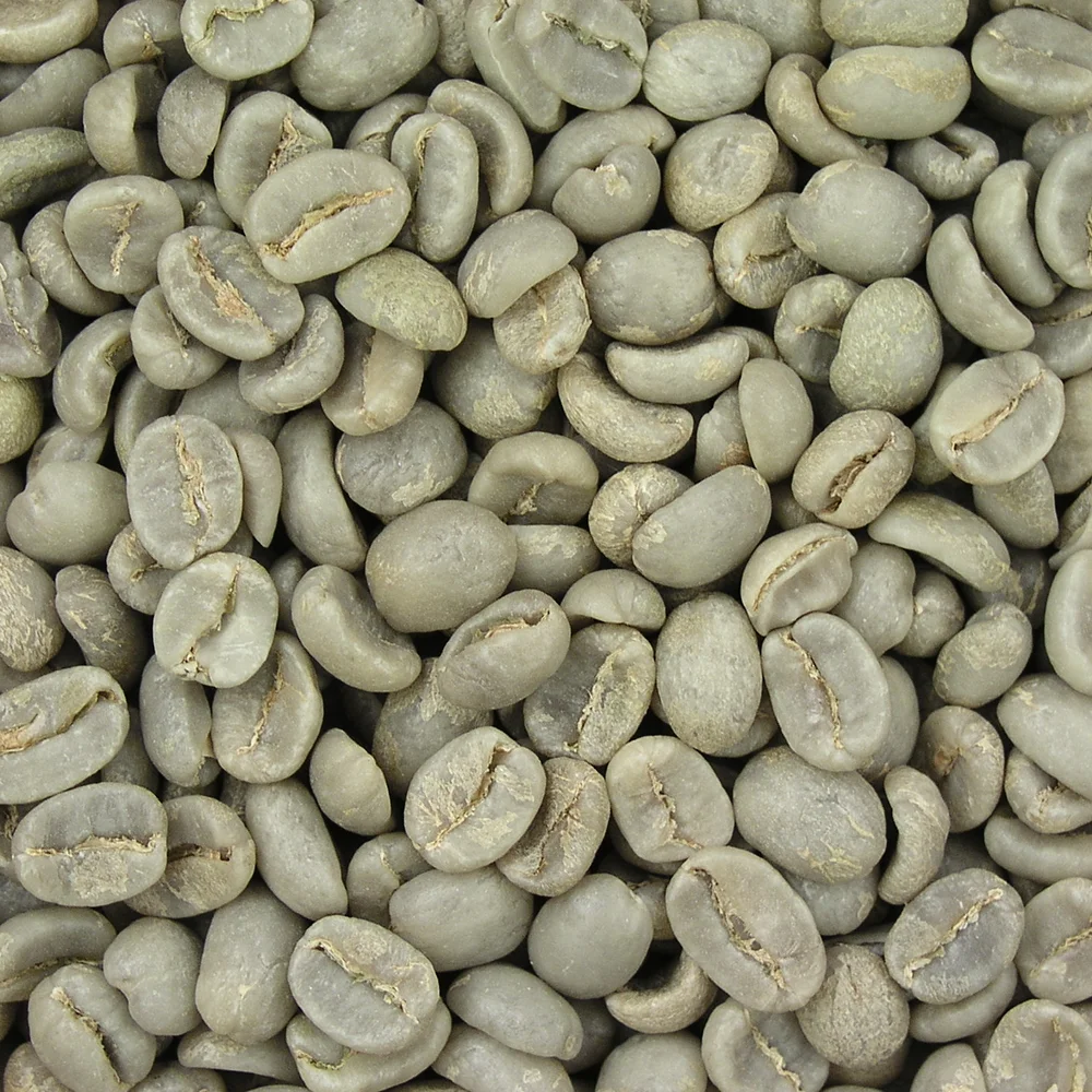 High Quality Coffee Green Beans 