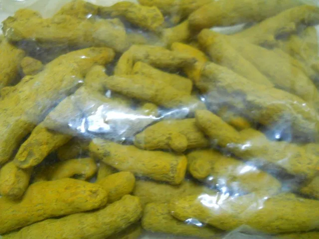 Turmeric 085.jpg