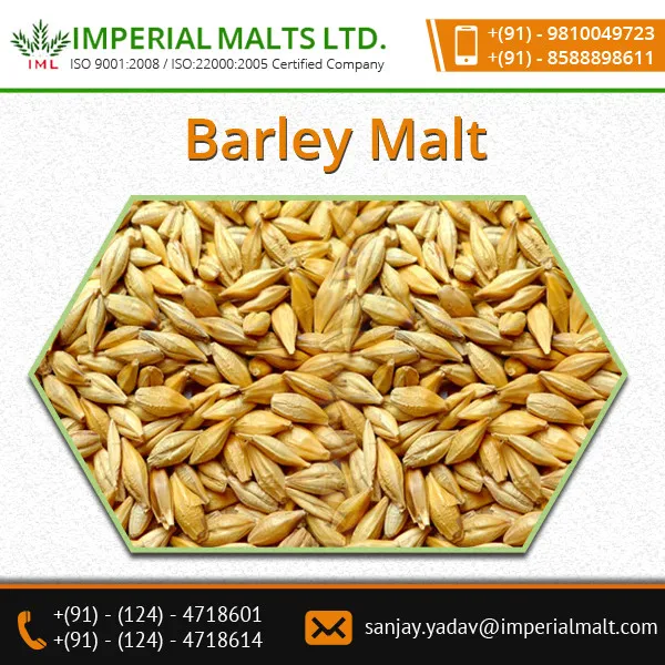 Standard Grade Organic Malt Barley With Low Moisture Buy Bulk Malted Barley,Price Of Barley