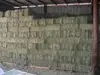 ANIMAL FEED,( YELLOW CORN , WHEAT, SOYBEANS, ALFALFA HAY, FISH MEAL, YEAST) FROM
