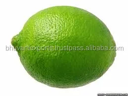 Lime 2.jpg