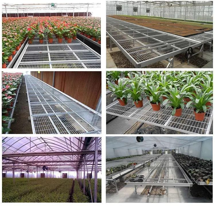 New Premium Plastic Greenhouse Rolling Benches And Shelving For