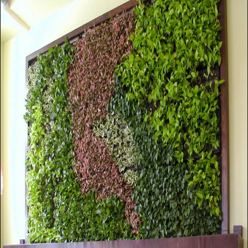 Import Guangzhou Best Price Plastic Green Wall Green Wall Vertical ...