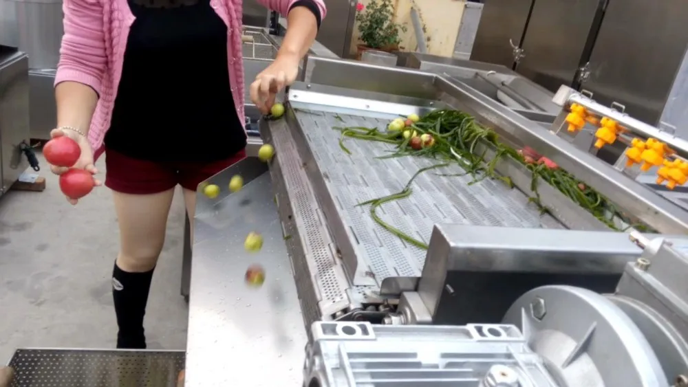 ozone vegetable washer