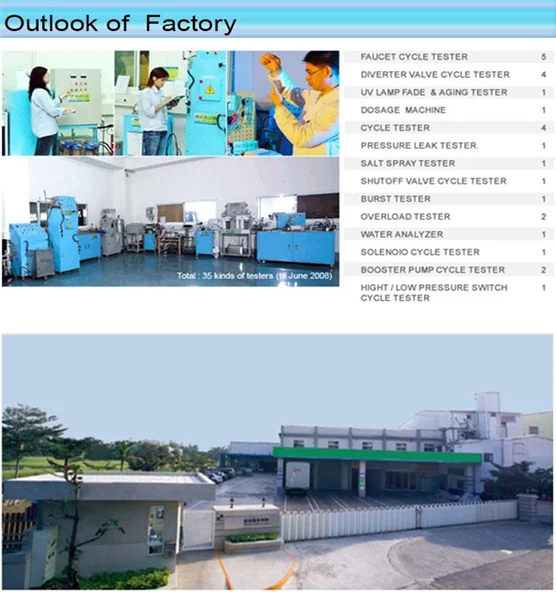 paste-pic-dp_uuid_evzki