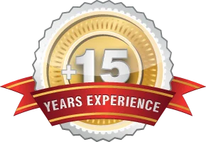One year experience. Experience логотип. Mga license. Нирвана космополитен схема отеля. Years experience.