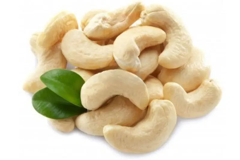 Vietnam Wholesale Cashew Nuts / Cashews Kernel