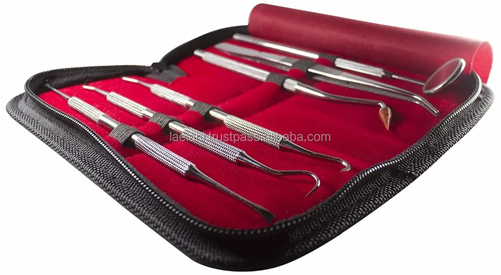 6 Pcs Best Dentist Tools Kit Premium Dental Instruments For Teeth