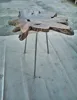 End Table Root Teak
