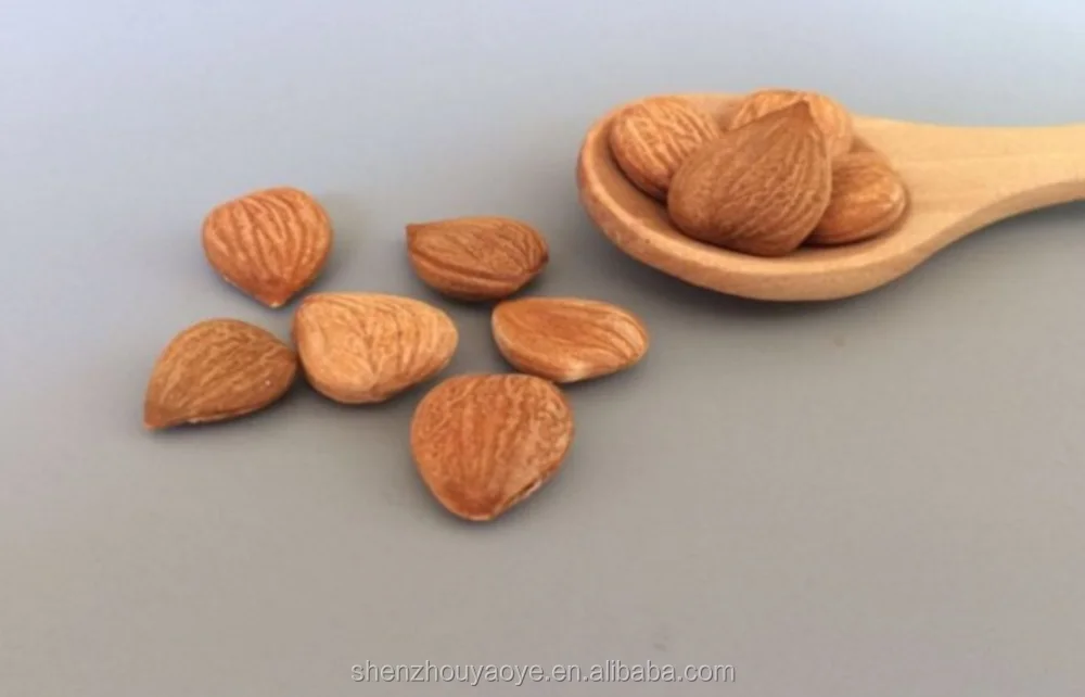 Chengde Chinese Bitter Apricot Kernels/dried Apricot Kernels Buy