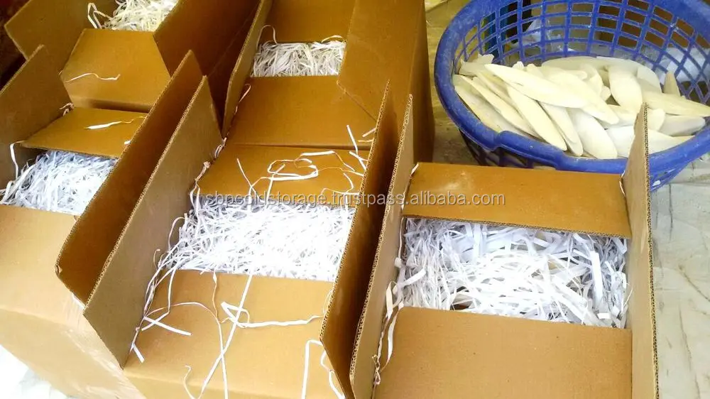 Dried Cuttle Fish Bone Buy Dried Cuttle Fish Bone,Dried Cuttle Fish