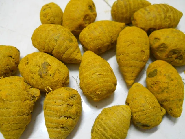 Turmeric 066 - Copy.jpg