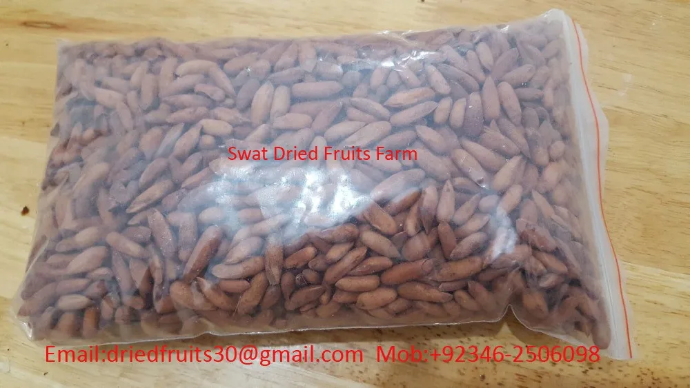 Pakistani Pine Nuts Buy Pakistan Pine Nuts,Pakistani Cedar Nuts,Pine