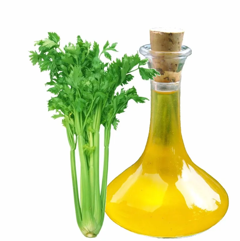 Hot Sale High Quality Celery Seed Oil / Celery Seed Essential Oil Buy