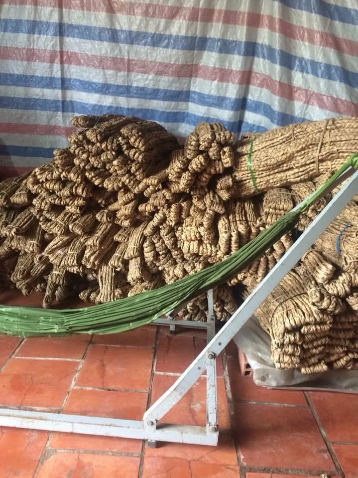 Dried Water Hyacinth Natural Material, View water hyacinth fiber