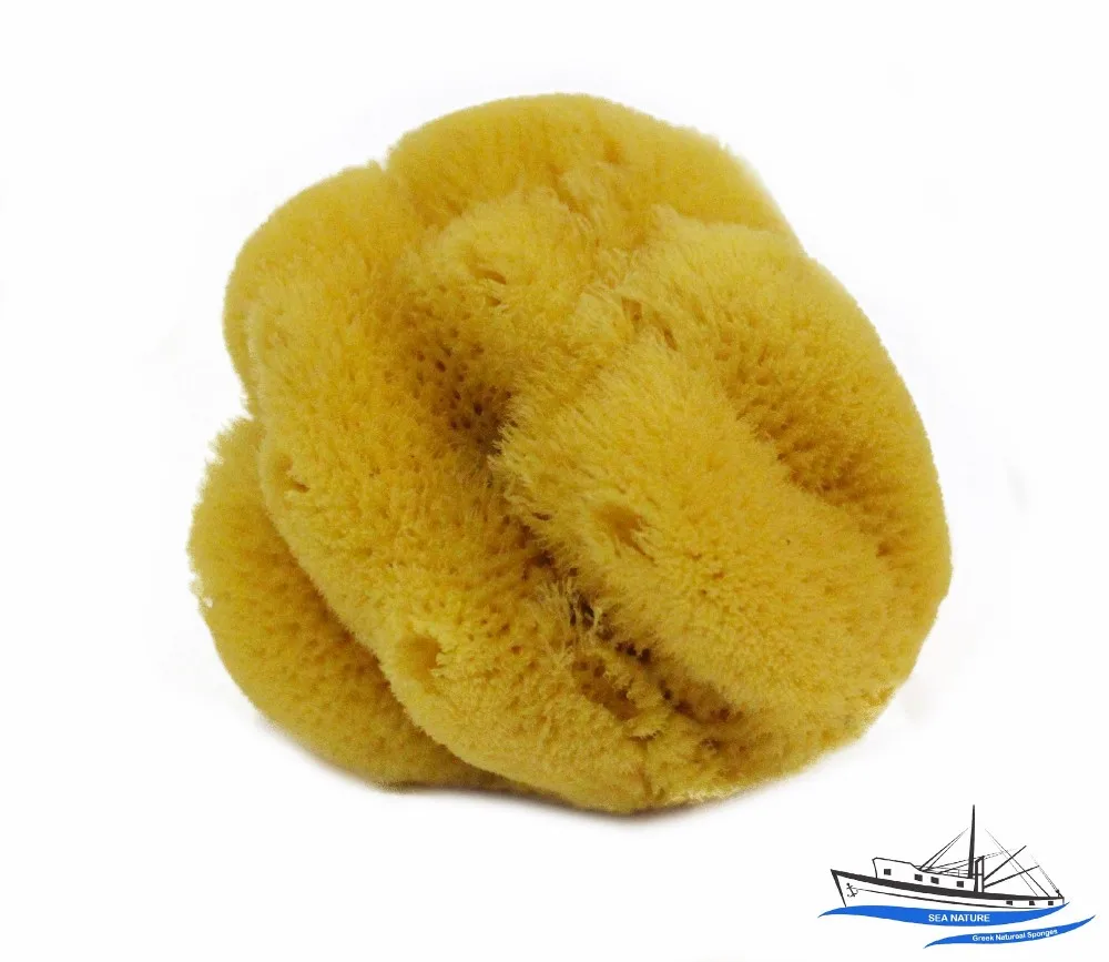 إسفنج البحر الطبيعي اليوناني 45 "من النوع الصلب للعناية بحمام الطفل