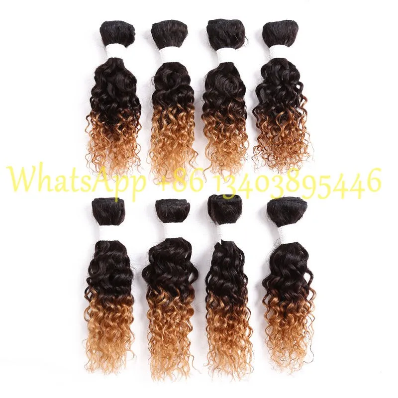 Kinky Curly Hairstyle Virgin Brazilian Wavy Hair Ombre Color 1b 27